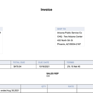 Encrypted Html invoice 100% inbox delivery